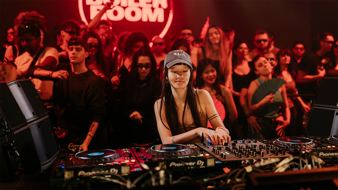 Photo of set Polygonia.