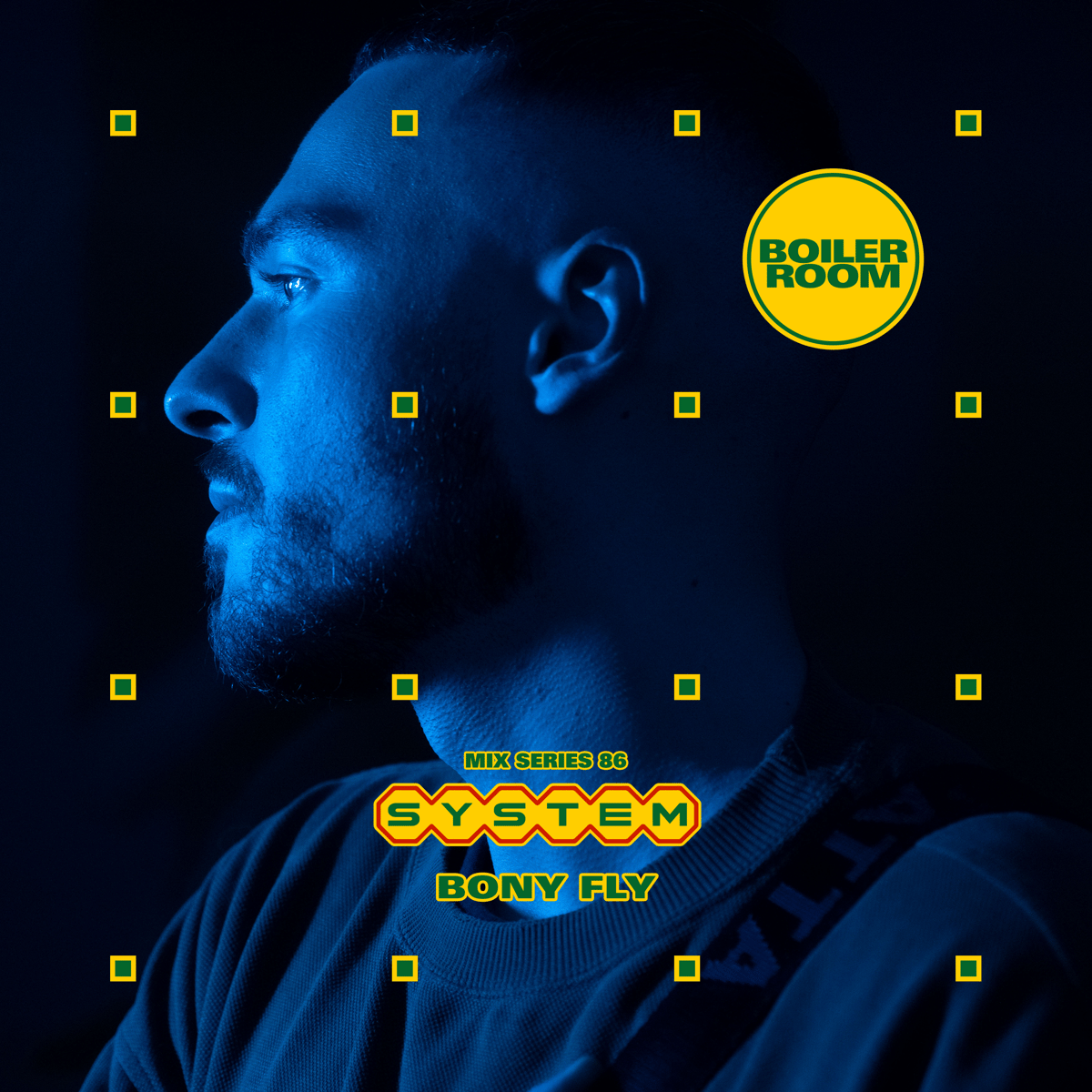Photo of set SYSTEM Mix 086: Bony Fly.