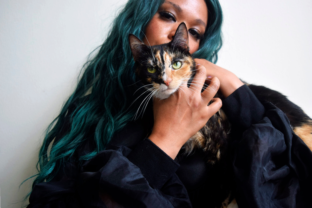 Photo of set BEARCAT.